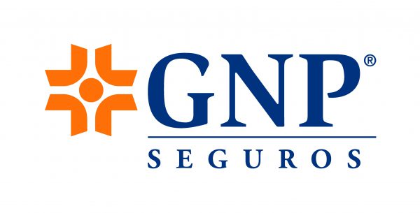 logo-GNP-odl2vgg0pkdsr7rnyteyx40d3lir6zh0rndxr6i67e