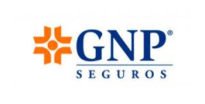 gnp_opt